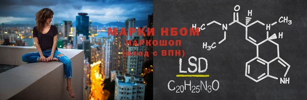 a pvp Бородино