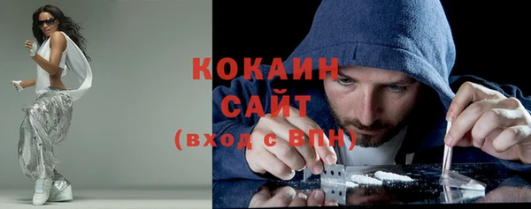 a pvp Бородино