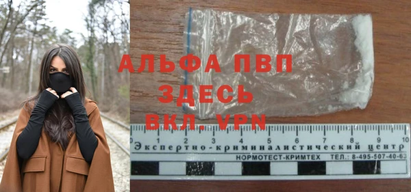 a pvp Бородино