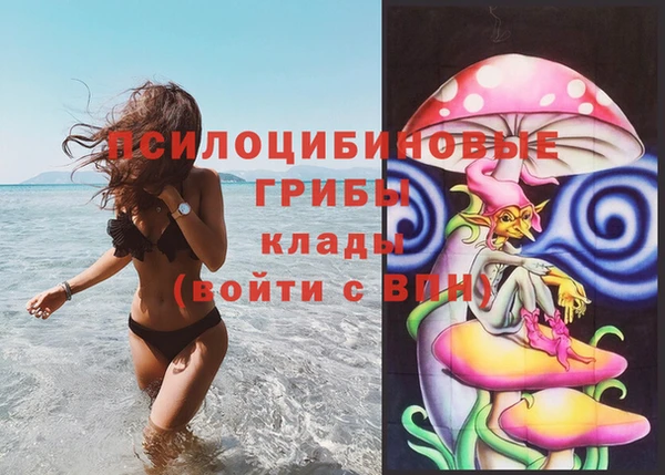 a pvp Бородино